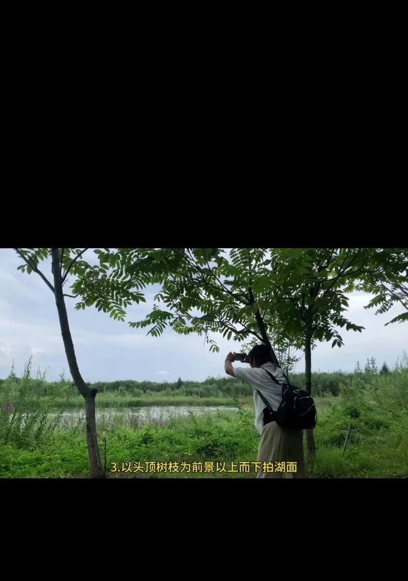手机拍照带净化功能怎么用？有哪些拍摄技巧？