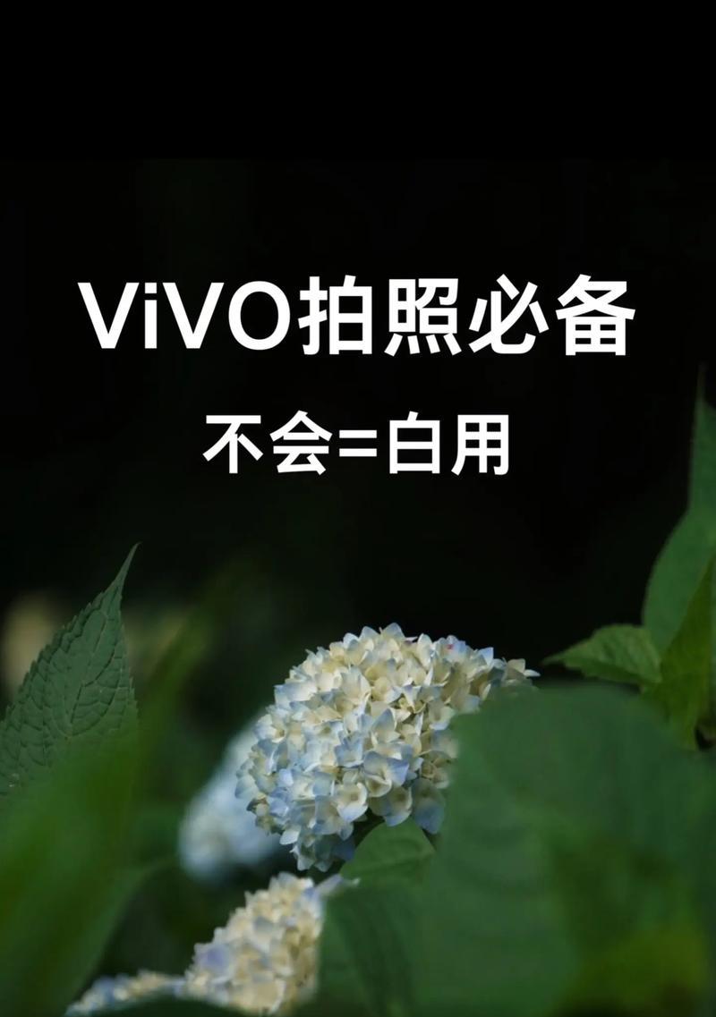 抖音特效拍照怎么下载到手机？如何在手机上下载抖音特效拍照？