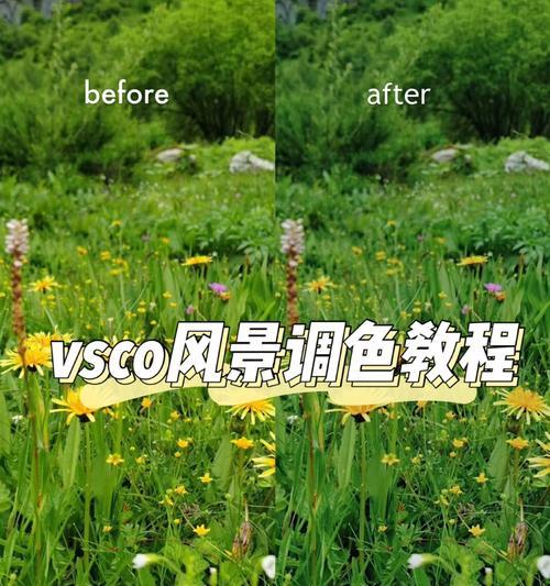 荣耀手机风景模式调色技巧有哪些？如何设置个性化风景？