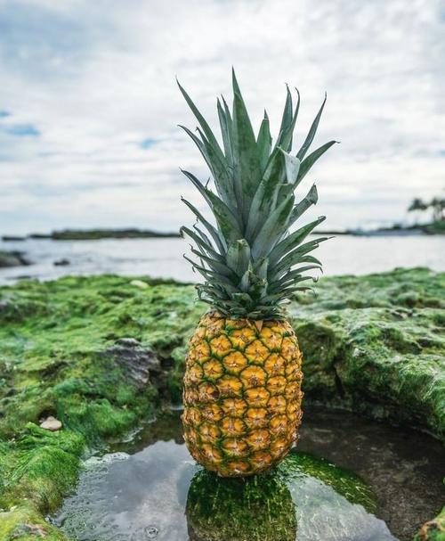 水果手机多个摄像头的设置方法是什么？如何优化拍摄效果？
