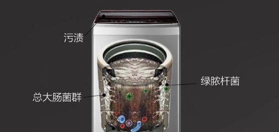 洗杯子应该用哪种洗衣机？洗衣机选择方法是什么？