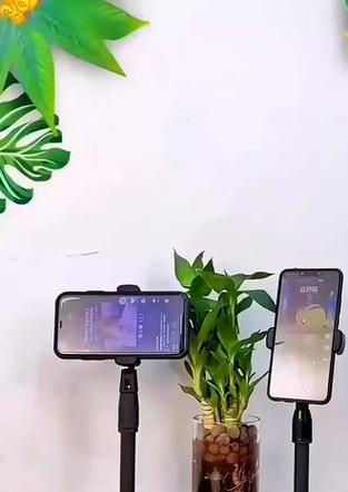 旅游时缺少手机支架如何解决？