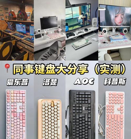 王墨绫子使用的键盘品牌是什么？该键盘有何特点？
