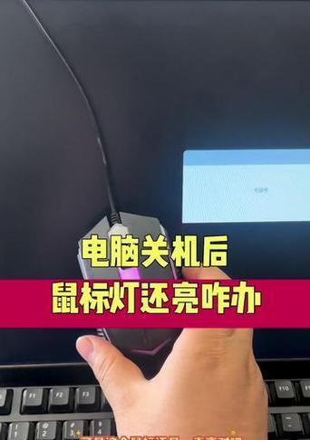 雷蛇鼠标宏录制功能如何操作？