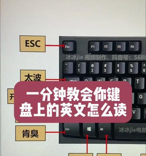 tx022pb显示器高度调节方法是什么？如何正确调整？