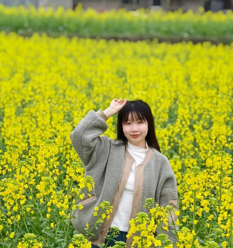 小米手机拍摄油菜花时如何设置参数？效果如何？