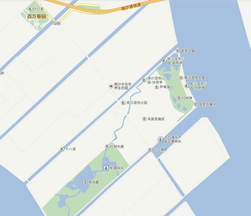 红树林电瓶车停放点在哪里？如何安全到达？