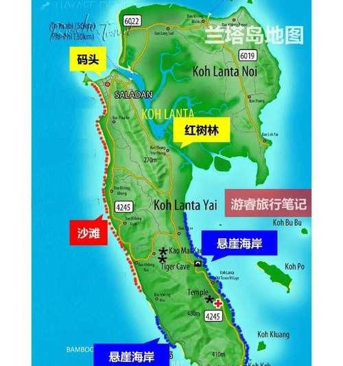红树林电瓶车停放点在哪里？如何安全到达？
