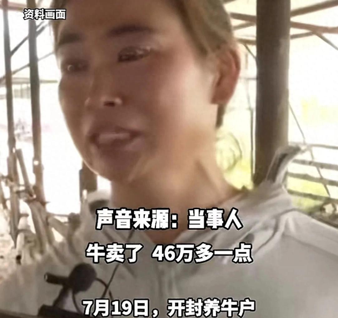 开封养牛户收卖牛款50万，牛拉走账户涉诈被冻！哭诉害怕钱牛两空