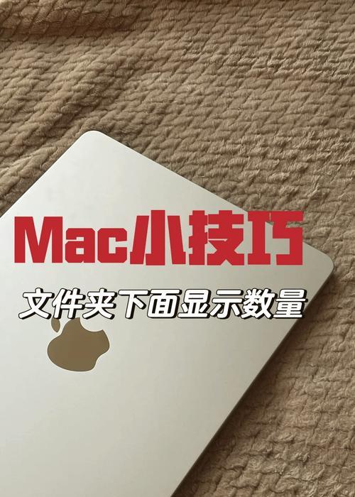 访达显示路径设置方法是什么？如何在苹果电脑上显示文件路径？