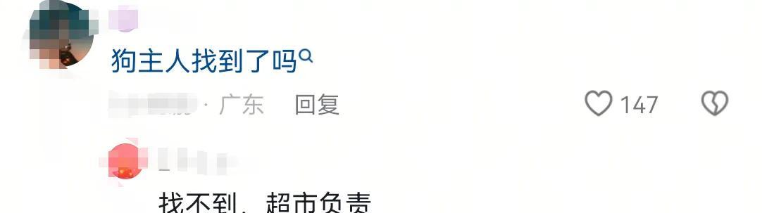 男孩商场扶梯上被狗咬伤，狗主人安慰几句后竟直接离开！警方介入