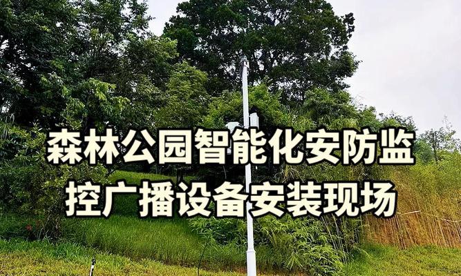 树上安装的摄像头应该叫什么？